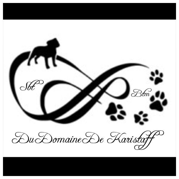 Elevage Du Domaine De Karistaff Eleveur De Chiens Staffordshire Bull